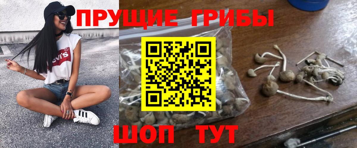 Псилоцибиновые грибы мицелий  Вход с VPN  Псилоцибиновые грибы GOLDEN TEACHER  купить наркотики цена  Сергиев Посад 